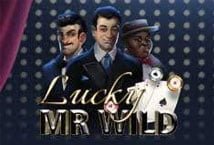 Lucky Mr Wild Slot Review